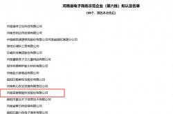 喜贺：蓝奥科技通过河南省电子商务示范企业认定