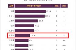 大宝漆再次上榜2022年中国品牌力指数排行