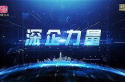 《深企力量》——深圳市锦宏峰工艺品有限公司新闻报道