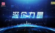 《深企力量》——深圳市无线道科技有限公司新闻报道