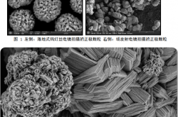 锂电池正极材料行业的显微分析方案指南