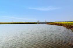 	第三届封丘水岸油菜花旅游节——来封丘，寻爱情